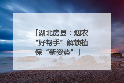 湖北房县：烟农“好帮手”解锁植保“新姿势”