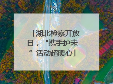 湖北检察开放日，“携手护未”活动超暖心