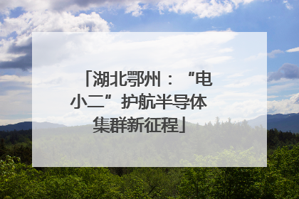 湖北鄂州：“电小二”护航半导体集群新征程