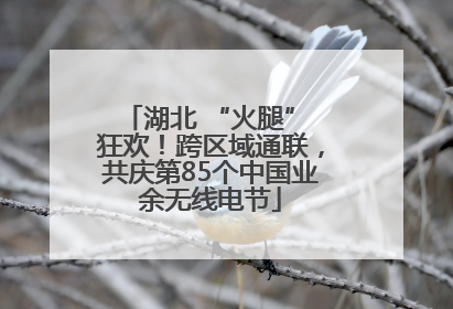 湖北 “火腿” 狂欢！跨区域通联，共庆第85个中国业余无线电节