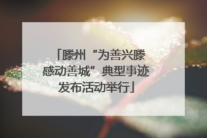 滕州“为善兴滕 感动善城”典型事迹发布活动举行