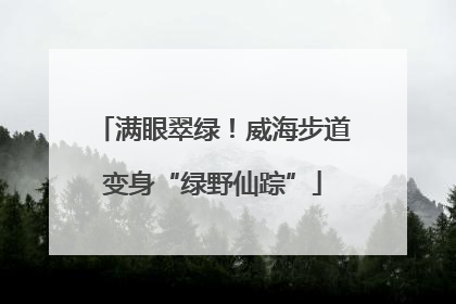满眼翠绿！威海步道变身“绿野仙踪”