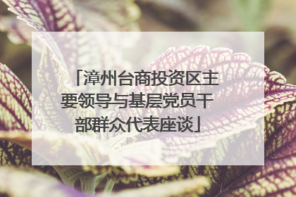 漳州台商投资区主要领导与基层党员干部群众代表座谈
