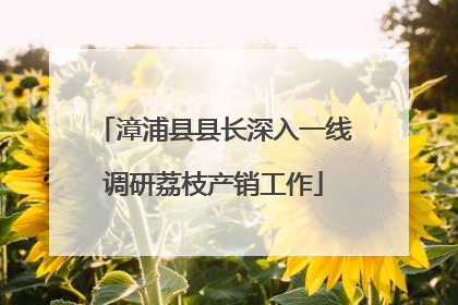 漳浦县县长深入一线调研荔枝产销工作