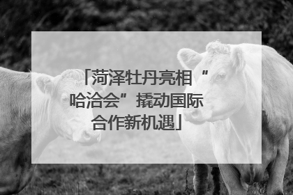 菏泽牡丹亮相“哈洽会”撬动国际合作新机遇