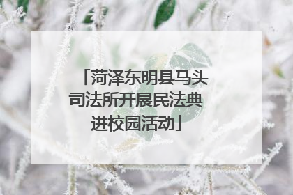 菏泽东明县马头司法所开展民法典进校园活动