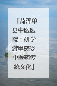 菏泽单县中医医院：研学游里感受中医药传统文化