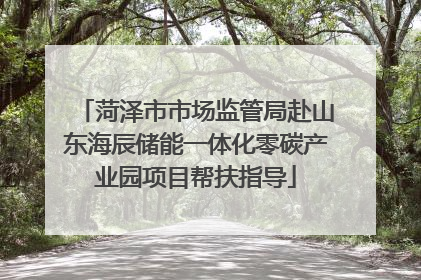 菏泽市市场监管局赴山东海辰储能一体化零碳产业园项目帮扶指导