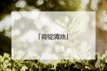荷绽清池
