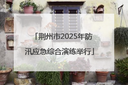 荆州市2025年防汛应急综合演练举行