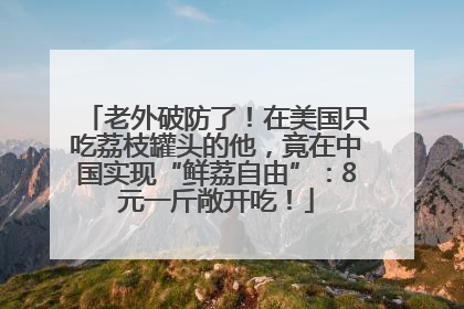 老外破防了！在美国只吃荔枝罐头的他，竟在中国实现“鲜荔自由”：8元一斤敞开吃！