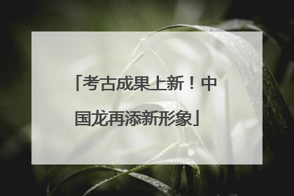 考古成果上新！中国龙再添新形象