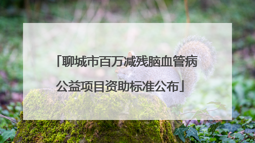 聊城市百万减残脑血管病公益项目资助标准公布