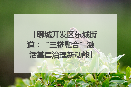 聊城开发区东城街道：“三链融合”激活基层治理新动能