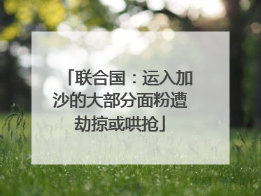 联合国：运入加沙的大部分面粉遭劫掠或哄抢