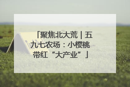 聚焦北大荒｜五九七农场：小樱桃带红“大产业”