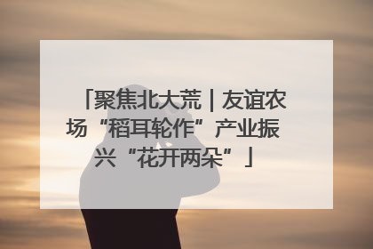聚焦北大荒｜友谊农场“稻耳轮作”产业振兴“花开两朵”