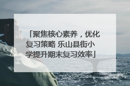 聚焦核心素养，优化复习策略 乐山县街小学提升期末复习效率
