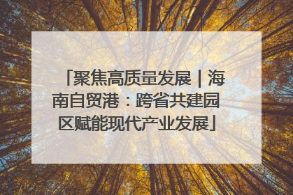 聚焦高质量发展｜海南自贸港：跨省共建园区赋能现代产业发展