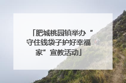 肥城桃园镇举办“守住钱袋子护好幸福家”宣教活动
