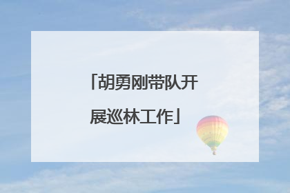 胡勇刚带队开展巡林工作