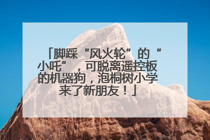 脚踩“风火轮”的“小吒”，可脱离遥控板的机器狗，泡桐树小学来了新朋友！