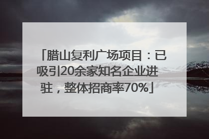 腊山复利广场项目：已吸引20余家知名企业进驻，整体招商率70%