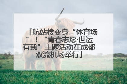 航站楼变身“体育场”！“青春志愿·世运有我”主题活动在成都双流机场举行