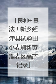 良种+良法！新乡延津县试验田小麦刷新黄淮麦区高产记录