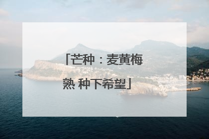 芒种：麦黄梅熟 种下希望