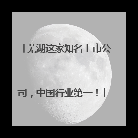 芜湖这家知名上市公司，中国行业第一！
