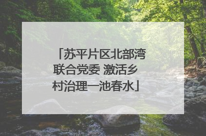 苏平片区北部湾联合党委 激活乡村治理一池春水