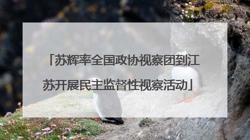 苏辉率全国政协视察团到江苏开展民主监督性视察活动