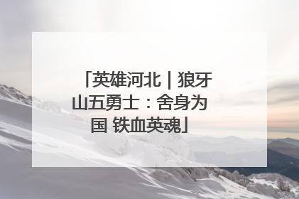 英雄河北｜狼牙山五勇士：舍身为国 铁血英魂