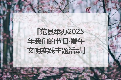 范县举办2025年我们的节日·端午文明实践主题活动