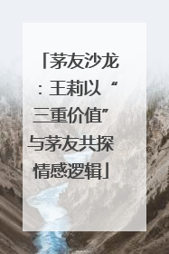 茅友沙龙：王莉以“三重价值”与茅友共探情感逻辑