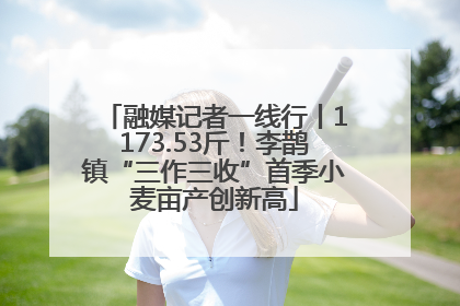融媒记者一线行丨1173.53斤！李鹊镇“三作三收”首季小麦亩产创新高