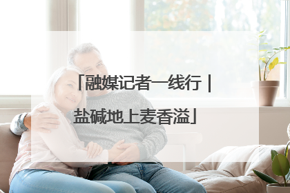 融媒记者一线行｜盐碱地上麦香溢