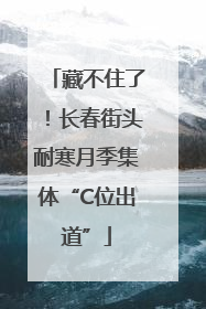 藏不住了！长春街头耐寒月季集体“C位出道”
