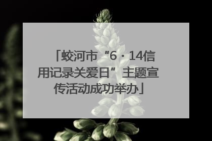 蛟河市“6・14信用记录关爱日”主题宣传活动成功举办