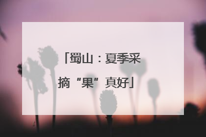 蜀山：夏季采摘“果”真好