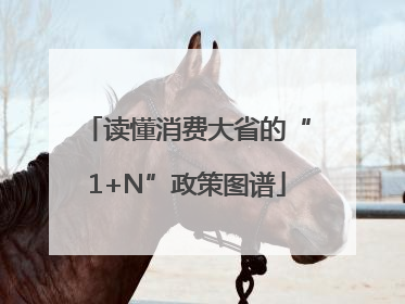 读懂消费大省的“1+N”政策图谱