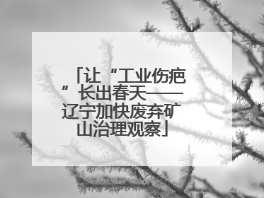 让“工业伤疤”长出春天——辽宁加快废弃矿山治理观察