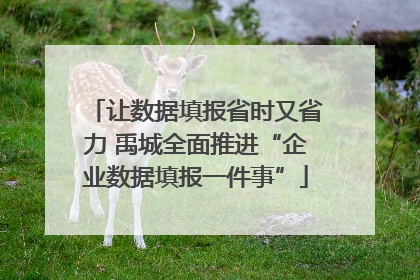让数据填报省时又省力 禹城全面推进“企业数据填报一件事”