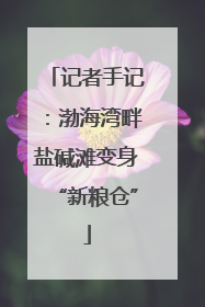 记者手记：渤海湾畔盐碱滩变身“新粮仓”