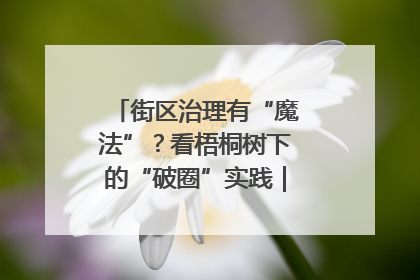 街区治理有“魔法”？看梧桐树下的“破圈”实践｜我在街区当书记