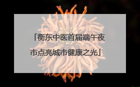 衡东中医首届端午夜市点亮城市健康之光