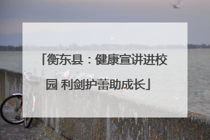 衡东县：健康宣讲进校园 利剑护蕾助成长