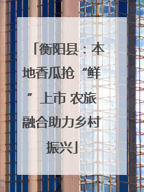 衡阳县：本地香瓜抢“鲜”上市 农旅融合助力乡村振兴