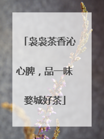 袅袅茶香沁心脾，品一味婺城好茶
